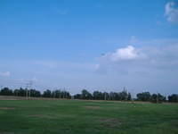 2007 0903flyinggull0014