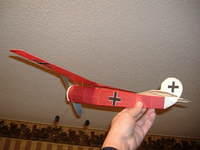 2008 0129fokkerd80010