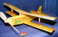 2010 02260006