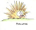 50 percent porcupine