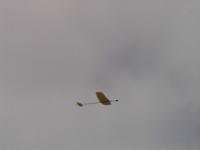 6glide