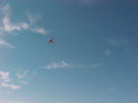 AC-265