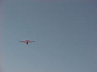 AC-293