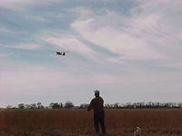 AC-295