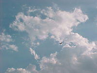 AC-368f