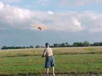 AC-443v