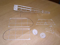 BAT Monoplane 002
