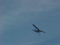 BBC-19