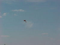 BC-17.jpg