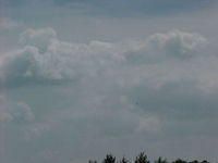 BC-76.jpg