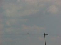 BC-77.jpg