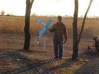 BCC-77