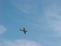 BF-109-104y