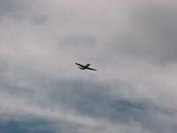 BF-109-146j