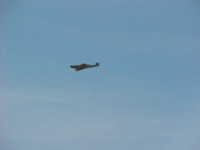 BF-109-95q