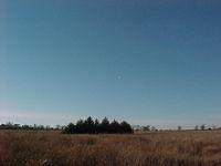 BabyComet-11-16-03.jpg