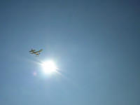 Barkplane