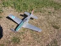 Baxp51 2