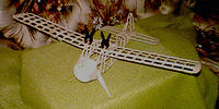 Beaver Bones 1