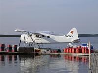 Beaver2007