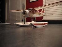 Beaver 01