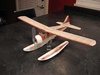 Beaver 02