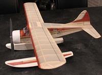 Beaver 03