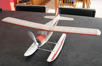 Beaver 10