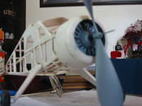Beaver fuse 020