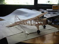 Beaver wing 001