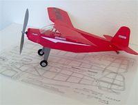 BigX-1