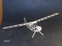 Bird Dog 003(1)