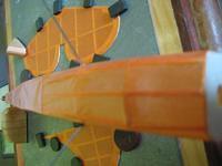Bird Dog 006