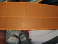 Bird Dog 011