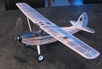 Bird Dog 10