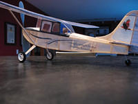 Bird Dog 11
