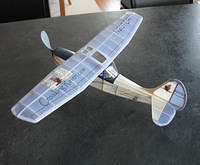 Bird Dog 7