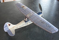 Bird Dog 8