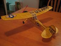 Bird Dog Set To Fly