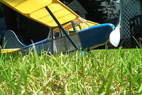 Birddog3 001
