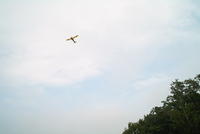BirddoginFlight