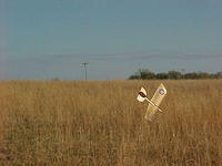 Bleriot III-24
