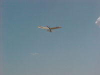Bleriot III-8
