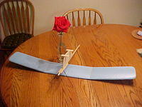 BlueMeatTray