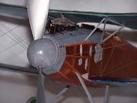 Boelcke 5 nose