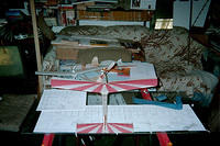 Brad s Minnie Hobbies 2a