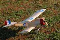 Bristol Scout