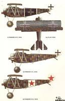 D6 profile