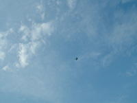 DSCF0027