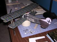 DSCN1346